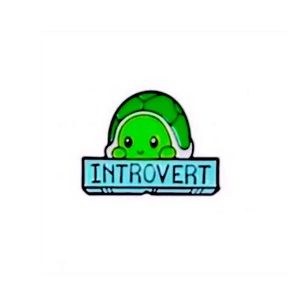 NEW Introvert Turtle Metal Enamel Pin